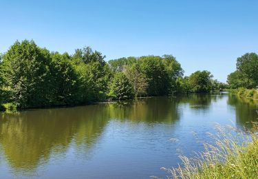 Tour Wandern Merbes-le-Château - De Merbes-le-Château à Labuissière - Photo