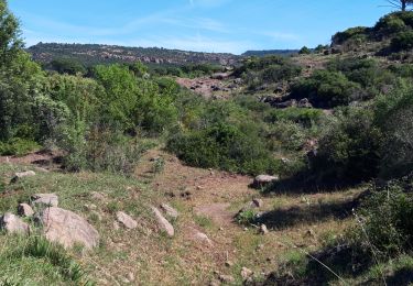 Tocht Stappen Le Muy - Massif du Rouet-21-05-21 - Photo