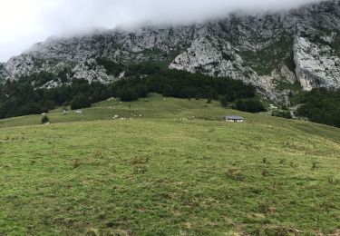 Percorso Marcia Bellecombe-en-Bauges - Le Mont Crêt du Char Col de Frasse - Photo