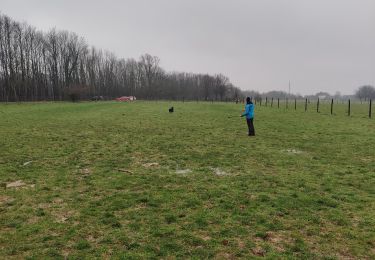 Tour Wandern Halle - Kris, Sofie en Merel  - Photo