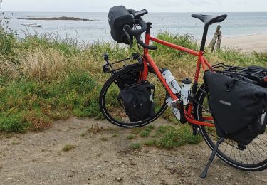Trail Bicycle tourism Cherbourg-en-Cotentin - Vélomaritime_Cherbourg_Caen_#J1_20210705_Cherbourg_-_Saint-Vaast-La_Hougue - Photo