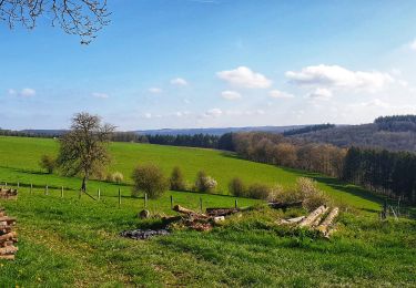 Tocht Stappen Gedinne - Balade de Bourseigne-Vieille à Vencimont - Photo
