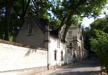 Percorso Marcia Rou-Marson - Marson  - Photo