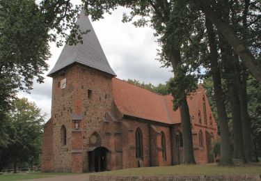 Tocht Te voet Munster - Örtzeweg - Photo