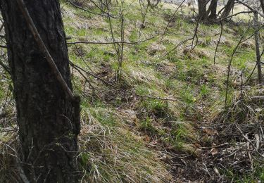 Trail Walking Saint-Vallier-de-Thiey - club 23 04 2021 - Photo