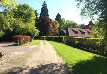 Excursión Senderismo Fontenailles - Les vallons de Fontenailles - Photo