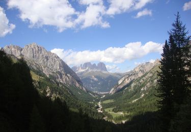 Tocht Te voet Soraga di Fassa - (SI C16S) Rifugio Fuciade - Passo Cirelle - Rifugio Contrin - Photo