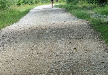 Randonnée Marche Vouthon-Haut - sur les chemins d'Isabelle partiel les Roises  - Photo