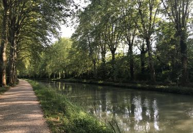 Percorso Bici ibrida Damazan - Canal de la Garonne  - Photo