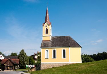 Tocht Te voet Hitzendorf - Attendorfer Rundwanderweg - Photo