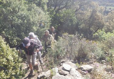 Randonnée Marche La Garde-Freinet - Fort Freinet et les roches blanches - Photo