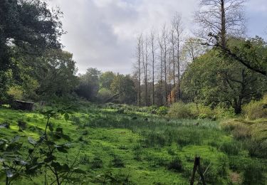 Randonnée Marche Loc-Eguiner - loc-eguiner - Photo