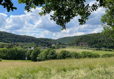 Tour Wandern Esneux - Mery Nessonvaux par GR - Photo