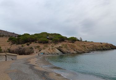 Percorso Marcia Port-Vendres - anse des paulilles - cap bear / retour par les vignes - Photo