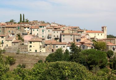 Tocht Te voet Scansano - Trekking della Villa Romana - Photo