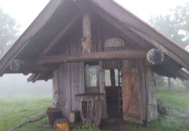 Trail Walking Sainte-Marie-aux-Mines - col ste Marie aux Mines - Photo
