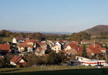 Randonnée V.T.T. Semondans - mont vaudois  - Photo