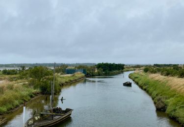 Tour Mountainbike Les Sables-d'Olonne - Circuit Des Sauniers depuis la Pironiere - Photo