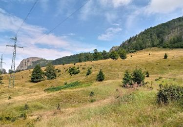 Tour Zu Fuß Kapnik - oraș Cavnic – Poiana Mlejnița – Creasta Cocoșului (blue_cross) - Photo