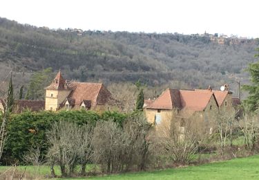 Tocht Mountainbike Montsalès - VTT Le Mas du Causse - Photo