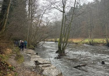 Tour Wandern Rochefort - Belvaux - Photo
