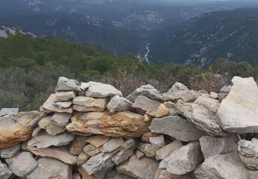 Trail Walking Saint-Guilhem-le-Désert - Sentier botanique maison des Plots - Photo