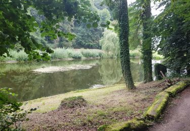 Randonnée Marche Hoeilaert - Groenendael_0823 - Photo