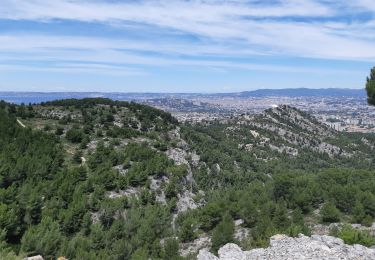 Randonnée Marche Marseille - Fontaine de Voire - Puit du lierre - col de la selle - Malvallon sud - Photo