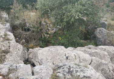 Excursión Senderismo Espéraza - Esperaza Rennes le château  - Photo