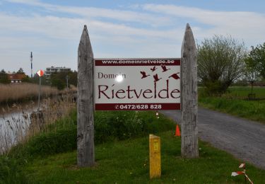 Randonnée Marche Coxyde - 20230504 - Nieuwpoort 8.7 Km - Photo