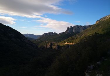 Trail Walking Gémenos - Saint Pons, la glacière - Photo