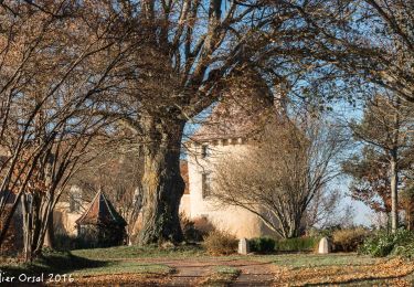 Tour Wandern Berd'huis - Berd'huis - Saint-Cyr-la-Rosière via Préaux-du-Perche 12 km - Photo