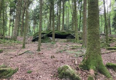 Tocht Stappen Fougerolles-Saint-Valbert - Fougerolles  - Photo