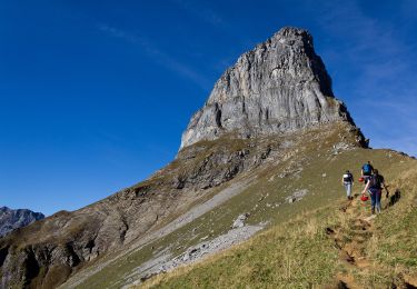 Percorso A piedi Glarus Süd - Panoramawanderung Braunwald - Photo