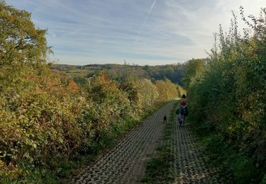 Randonnée Marche Heerlen - Putberg tot Slakkenpad en terug  - Photo