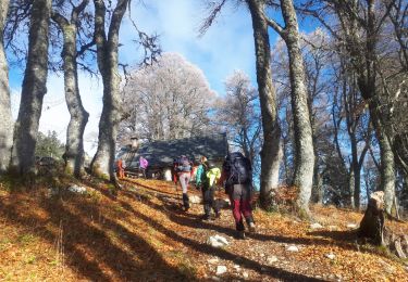 Tocht Stappen Le Sappey-en-Chartreuse - Belvédère de Roche Rousse en circuit - Photo