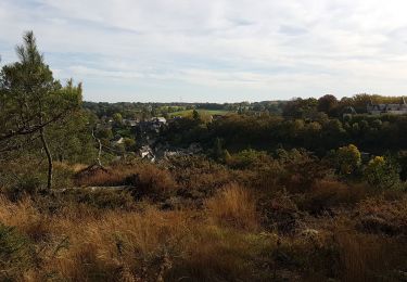 Tour Wandern Rochefort-en-Terre - Pluherlin, Les Grées - Photo