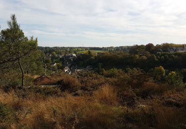 Trail Walking Rochefort-en-Terre - Pluherlin, Les Grées - Photo