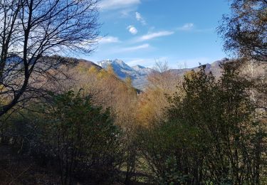 Percorso Bici da strada Sireix - vélo confiné  - Photo