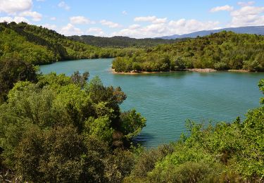 Trail Walking Montauroux - Esterets du Lac - Observatoire - Lac de St Cassien - Photo