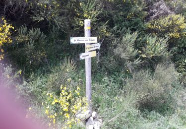 Trail On foot Saint-Pierre-sur-Doux - st Pierre sur doux - Photo