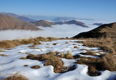 Excursión A pie Miazzina - R03 - Sentiero BOVE tratto Pian Cavallone Monte Zeda - Photo