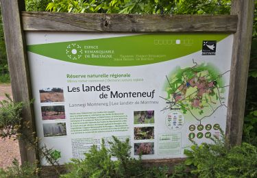 Excursión Senderismo Monteneuf - Monteneuf - Circuit des mégalithes  - Photo