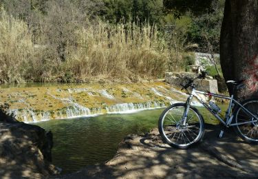 Tour Mountainbike Draguignan - 20190322 VTT détente  - Photo