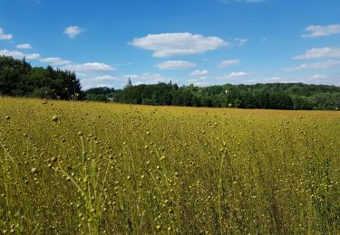 Trail Walking Lasne - Ohain0720 - Photo