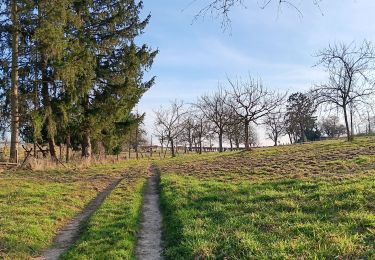 Trail Walking Eijsden-Margraten - mesch ketten mesch 2  - Photo