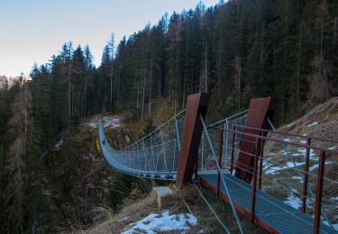 Tour Zu Fuß Rabbi - Sentiero degli alpinisti - Photo