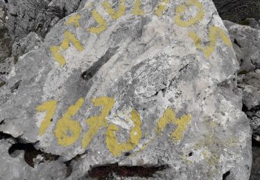 Percorso Marcia Le Châtelard - Le Chatelard- Ailes Du Nant 13 05 - Photo