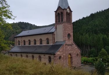 Tour Wandern Rimbach bei Masmünster - Haute Bers - Photo