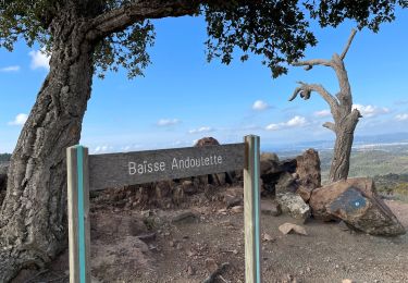 Tour Wandern Saint-Raphaël - autour de Roussiveau - Photo